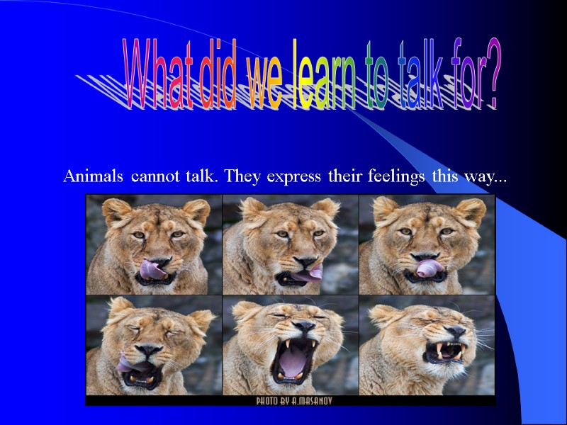 What did we learn to talk for? Animals cannot talk. They express their feelings